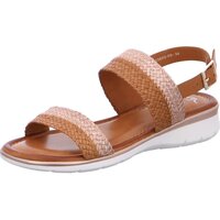 Sapatos Mulher Sandálias Ara Kreta Castanho