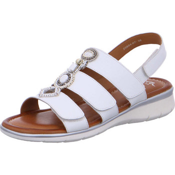 Sapatos Mulher Sandálias Ara 12-23604-07 Branco
