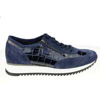Sapatos Mulher Sapatilhas Gabor 56.338.66 Azul