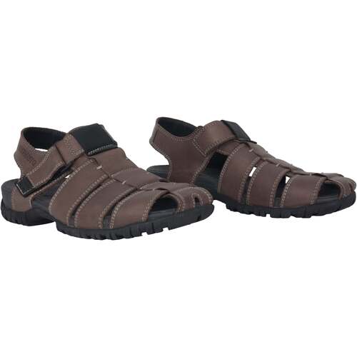 Mephisto Basile Cinza