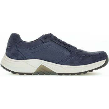 Sapatos Homem Sapatilhas Pius Gabor 8002.10.02 Azul