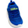 Sapatos Criança Sapatilhas Skechers 97875N BLLM Azul
