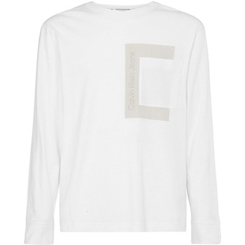 Textil Homem T-shirt mangas compridas Calvin Klein Jeans J30J319722 Branco