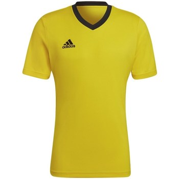 Textil Homem Mamalicious Weißes T-Shirt mit Schößchensaum adidas Originals Entrada 22 Amarelo