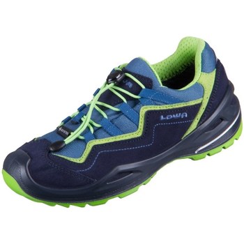 Sapatos Mulher Sapatos de caminhada Lowa Robin Evo Gtx Azul, Azul marinho