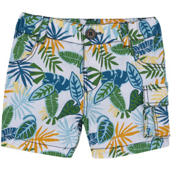Textil Rapaz Shorts / Bermudas Chicco 09000528000000 Verde