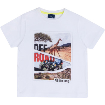 Textil Criança adidas T-shirt à Manches Longues Own The Run HL6000 Chicco 09067584000000 Branco