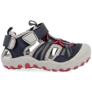 Sapatos Criança Sapatilhas Gioseppo Sapatos Bebé Tonala 47407 - Navy Azul