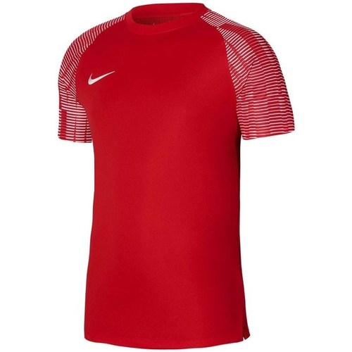 Textil Homem T-Shirt mangas curtas Nike lite Drifit Academy Vermelho