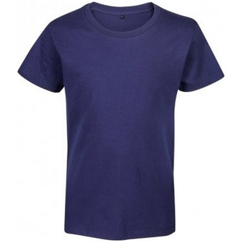 Textil Criança T-Shirt mangas curtas Rtp Apparel 03261 Azul