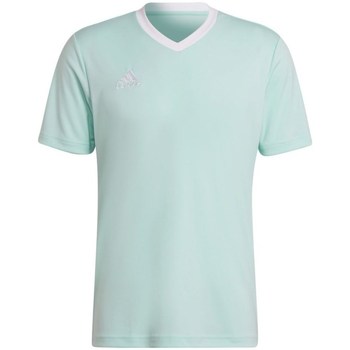 Textil Homem Mamalicious Weißes T-Shirt mit Schößchensaum adidas Originals Entrada 22 Cor azul-turquesa