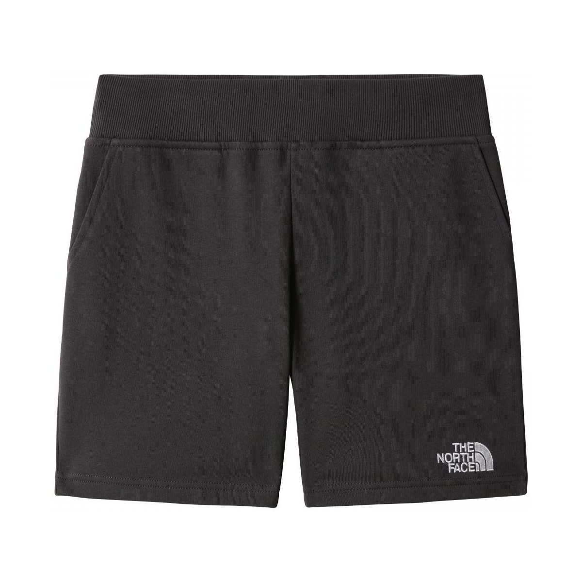Textil Rapaz Shorts / Bermudas Tape Logo Shorts NF0A7R1I0C51 DRW SHORT-BLACK Preto
