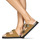 Sapatos Mulher Chinelos Schmoove LUCIA BUCKLE Camel