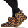 Sapatos Mulher Chinelos Cool shoe DAKOTA Multicolor