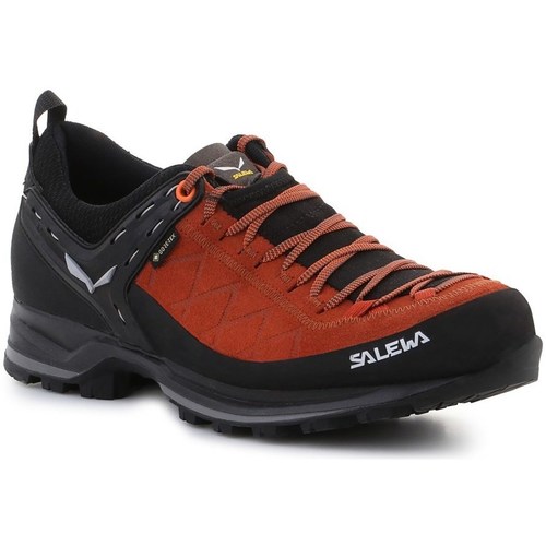 Sapatos Homem Sapatos de caminhada Salewa MS Mtn Trainer 2 Gtx Preto, Castanho