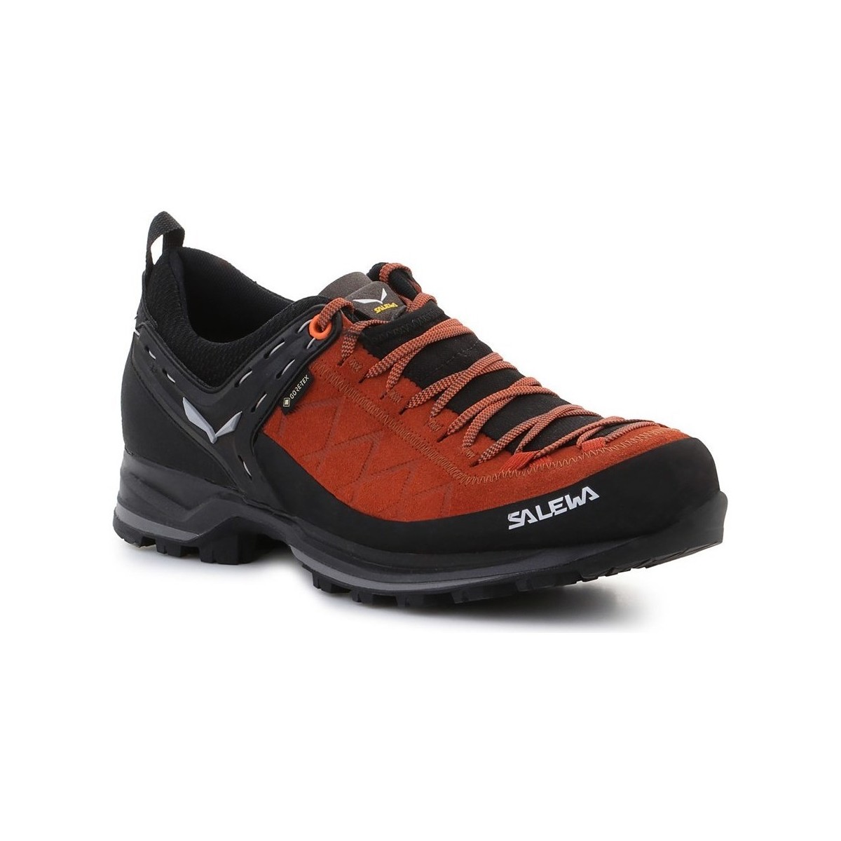 Sapatos Homem Sapatos de caminhada Salewa MS Mtn Trainer 2 Gtx Castanho, Preto