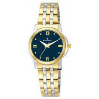Relógios & jóias Mulher Relógio Radiant Relógio feminino  RA453203 (Ø 28 mm) Multicolor