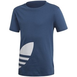 Textil Rapaz T-Shirt mangas curtas adidas Originals Big Trefoil Tee Azul
