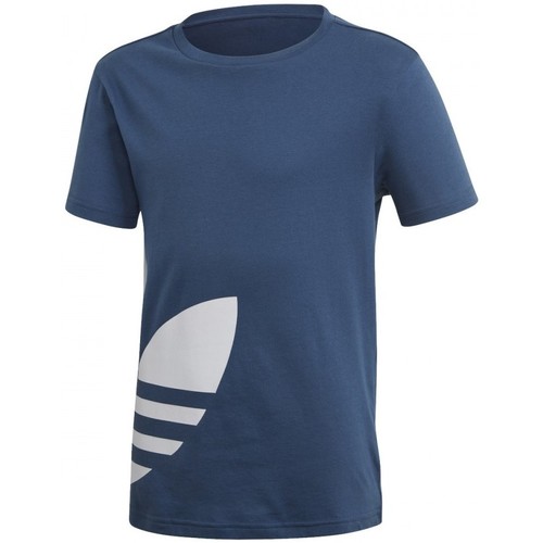 Textil Rapaz T-Shirt mangas curtas adidas Originals Big Trefoil Tee Azul