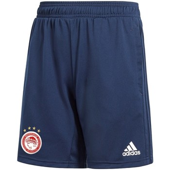 Textil Rapaz Calças curtas demi adidas Originals Adizero FC Olympiakos WF Azul marinho