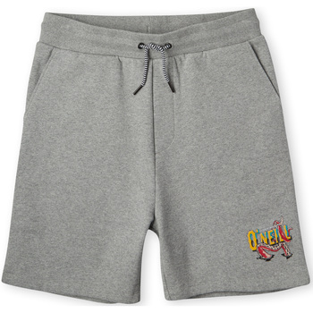 Textil Rapaz Shorts / Bermudas O'neill Short enfant  Surf Dude Cinza