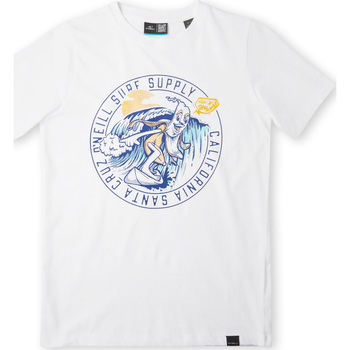 Textil Rapaz T-Shirt mangas curtas O'neill T-shirt enfant  Salt Branco