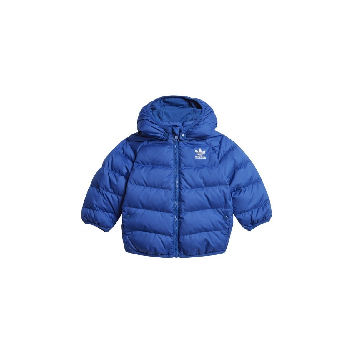 Textil Criança Jaquetas adidas Originals Rd Jacket Azul