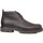 Sapatos Botas CallagHan 25874-24 Castanho