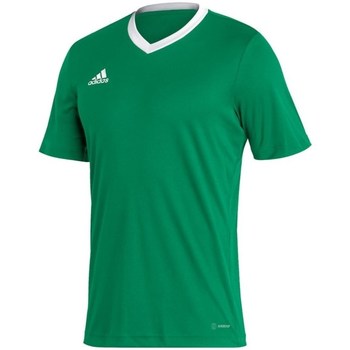 Textil Homem Mamalicious Weißes T-Shirt mit Schößchensaum adidas Originals Entrada 22 Verde