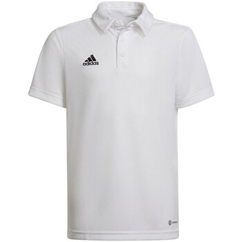 Textil Rapaz T-Shirt mangas curtas adidas Originals Entrada 22 Branco
