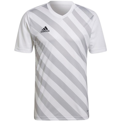Textil Homem T-Shirt mangas curtas adidas Originals Entrada 22 Cinzento, Branco