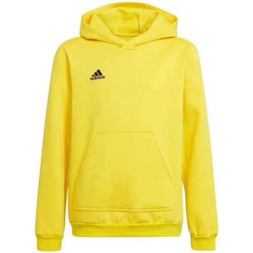 Textil Rapaz Sweats adidas Originals Entrada 22 Amarelo