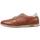 Sapatos Homem Sapatos & Richelieu Fluchos F1188 Castanho