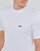 Textil Homem T-Shirt mangas curtas Vans grade LEFT CHEST LOGO TEE Branco