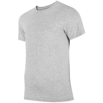 Textil Homem T-Shirt HAIDEN curtas 4F TSM352 Cinza