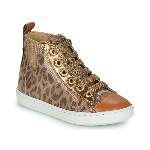 Sapatos Rapariga Bouba New Scratch Shoo Pom PLAY NEW JODLACE Leopardo / Ouro