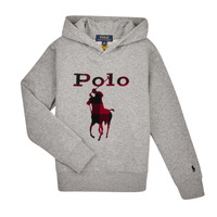 Textil Rapaz Sweats Polo Ralph Lauren 323883104002 Cinza