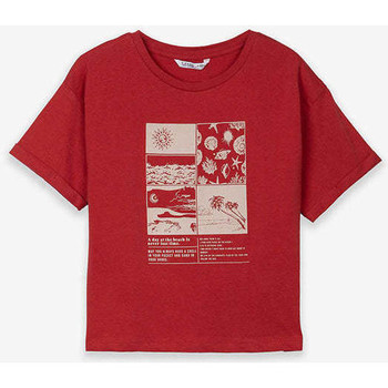 Textil Rapariga T-shirts e Pólos Tiffosi 10043691-9-21 Vermelho