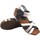 Sapatos Mulher Multi-desportos Interbios Sandália Lady INTER BIOS 5338 bl.grey Cinza