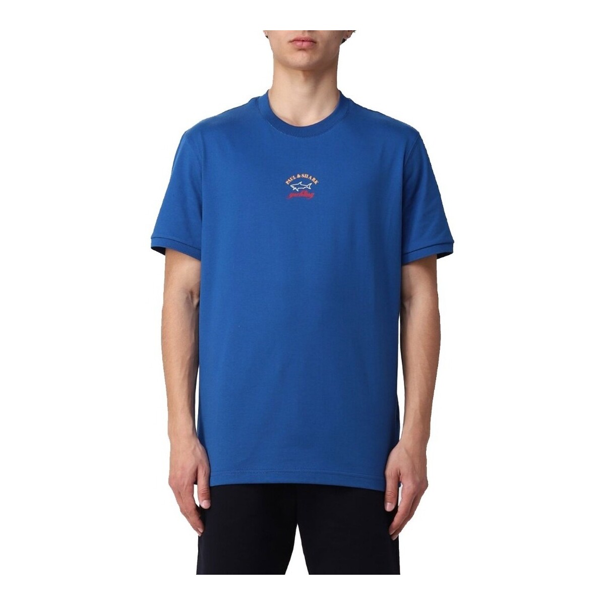 Textil Homem T-shirts e Pólos Paul & Shark C0P1096 Azul