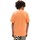 Textil Criança T-shirts e Pólos Vans VN000IVFYST1  CLASSICS-MELON Laranja
