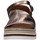 Sapatos Mulher Adidas Terrex Agravic Tr Gore-Tex Trail Running FW2690 22WS4203 Castanho