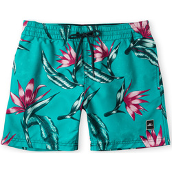 Textil Rapaz Shorts / Bermudas O'neill Short enfant  Print Azul