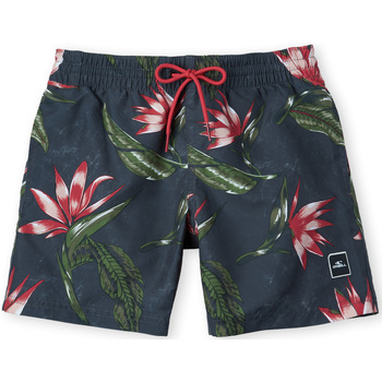 Textil Rapaz Shorts / Bermudas O'neill Short enfant  Print Cinza