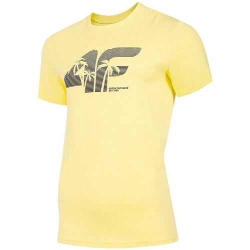 Textil Homem T-Shirt mangas curtas 4F TSM042 Amarelo