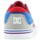 Sapatos Criança Sapatos estilo skate DC Shoes Sultan TX Cinzento, Azul