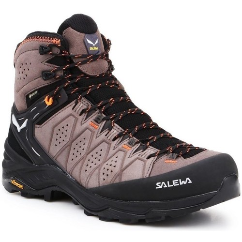Sapatos Homem Sapatos de caminhada Salewa MS Alp Trainer 2 Mid Gtx Bege