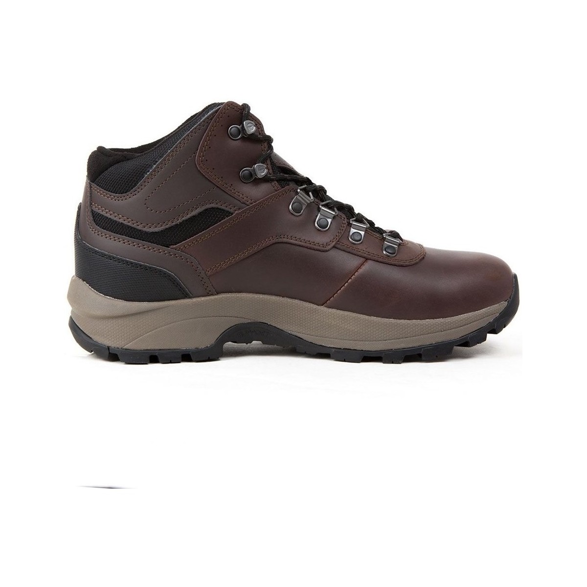 Sapatos Homem Sapatos de caminhada Hi-Tec Altitude VI Michelin Castanho
