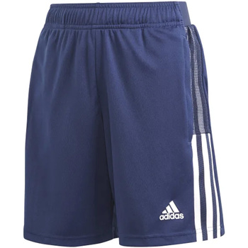 Textil Criança Shorts / Bermudas adidas Originals GK9681 Azul