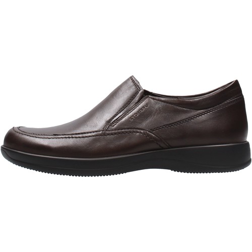 Sapatos Homem Sapatilhas Stonefly 213064-5HD Castanho